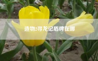 造物2寻龙记盾牌在哪