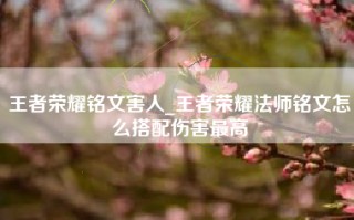 王者荣耀铭文害人_王者荣耀法师铭文怎么搭配伤害最高