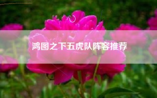 鸿图之下五虎队阵容推荐