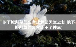 地下城割草怎么合成超武天堂之剑(地下城割草怎么合成不了神器)
