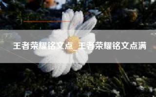 王者荣耀铭文点_王者荣耀铭文点满