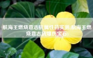 航海王燃烧意志抗属性药实测(航海王燃烧意志抗爆伤宝石)