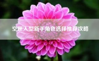 空匣人型新手角色选择推荐攻略