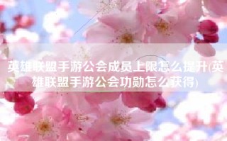 英雄联盟手游公会成员上限怎么提升(英雄联盟手游公会功勋怎么获得)