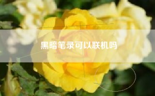 黑暗笔录可以联机吗