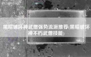 黑暗破坏神武僧强势流派推荐(黑暗破坏神不朽武僧技能)