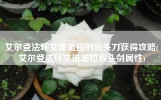艾尔登法环艾琉诺拉的双头刀获得攻略(艾尔登法环艾琉诺拉双头剑属性)