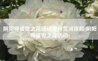 阴阳师彼世之花活动夜行荒河攻略(阴阳师彼世之花活动)