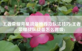 王者荣耀弈星战备推荐及玩法技巧(王者荣耀战队战备怎么晋级)