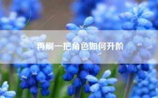 再刷一把角色如何升阶