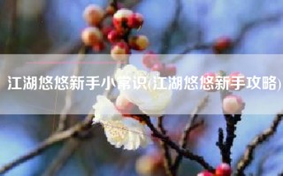 江湖悠悠新手小常识(江湖悠悠新手攻略)