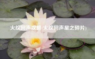 火纹回声攻略(火纹回声星之碎片)