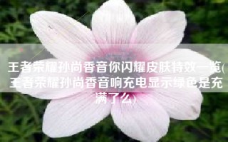王者荣耀孙尚香音你闪耀皮肤特效一览(王者荣耀孙尚香音响充电显示绿色是充满了么)