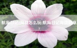 航海日记2海战怎么玩(航海日记海战勋章)