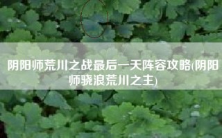 阴阳师荒川之战最后一天阵容攻略(阴阳师骁浪荒川之主)