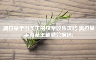 奥拉星手游圣王的纹章收集攻略(奥拉星手游圣王麒麟兑换码)