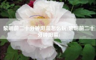 黎明前二十分钟阳菜怎么玩(黎明前二十分钟阳菜)