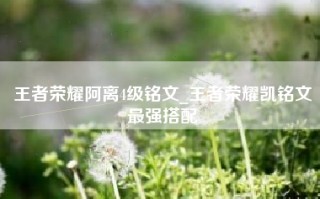 王者荣耀阿离4级铭文_王者荣耀凯铭文最强搭配