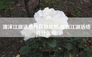 濡沫江湖活络丹获取攻略(放置江湖活络丹什么用)