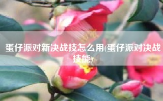 蛋仔派对新决战技怎么用(蛋仔派对决战技能)