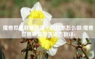 魔兽世界联盟部落一起打本怎么做(魔兽世界联盟部落语言翻译)