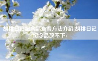 胡桃日记纪念品查看方法介绍(胡桃日记纪念品放不下)