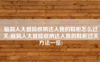 脑洞人大冒险收纳达人我的鞋柜怎么过关(脑洞人大冒险收纳达人我的鞋柜过关方法一览)