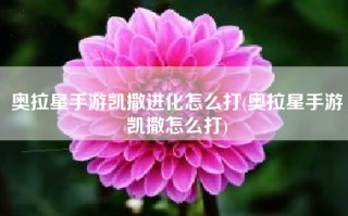 奥拉星手游凯撒进化怎么打(奥拉星手游凯撒怎么打)