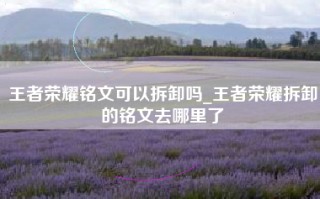 王者荣耀铭文可以拆卸吗_王者荣耀拆卸的铭文去哪里了