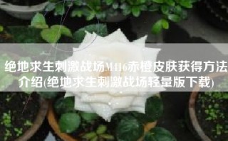 绝地求生刺激战场M416赤橙皮肤获得方法介绍(绝地求生刺激战场轻量版下载)