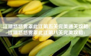 江湖悠悠雾罩此江第五关完美通关攻略(江湖悠悠雾罩此江第八关完美攻略)