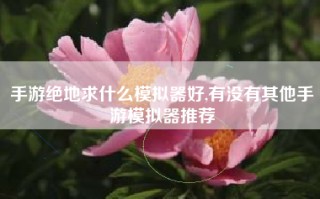 手游绝地求什么模拟器好,有没有其他手游模拟器推荐