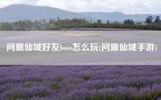 问鼎仙域好友boss怎么玩(问鼎仙域手游)