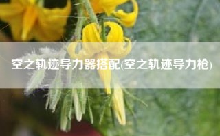 空之轨迹导力器搭配(空之轨迹导力枪)