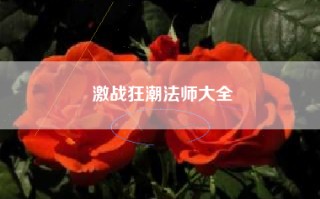 激战狂潮法师大全
