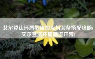 艾尔登法环盾戳流加点与装备搭配攻略(艾尔登法环盾戳流开荒)