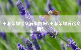王者荣耀铭文满级数据_王者荣耀满铭文活动