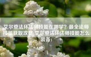 艾尔登法环法师技能在哪学？最全法师技能获取攻略(艾尔登法环法师技能怎么装备)