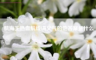 航海王热血航线讲义气的他答案是什么