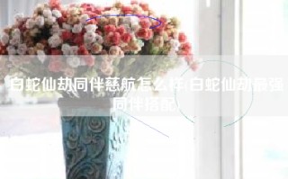 白蛇仙劫同伴慈航怎么样(白蛇仙劫最强同伴搭配)