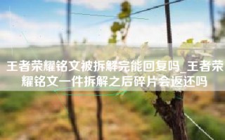 王者荣耀铭文被拆解完能回复吗_王者荣耀铭文一件拆解之后碎片会返还吗