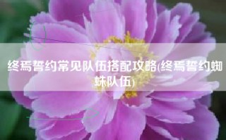 终焉誓约常见队伍搭配攻略(终焉誓约蜘蛛队伍)