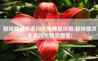 超级精灵手表闪光宠捕捉攻略(超级精灵手表闪光精灵图鉴)