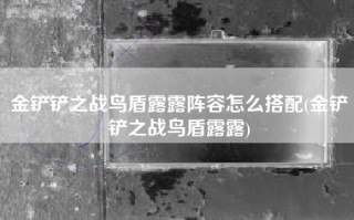 金铲铲之战鸟盾露露阵容怎么搭配(金铲铲之战鸟盾露露)