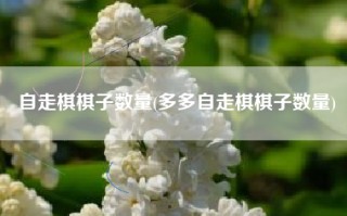 自走棋棋子数量(多多自走棋棋子数量)