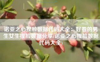 诺亚之心捏脸数据代码大全：好看的男生女生捏脸数据分享(诺亚之心捏脸数据代码大全)