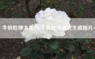 牛转乾坤大礼包(牛转乾坤虎虎生威图片)