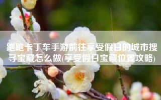 跑跑卡丁车手游前往享受假日的城市搜寻宝藏怎么做(享受假日宝藏位置攻略)