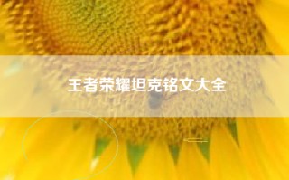 王者荣耀坦克铭文大全
