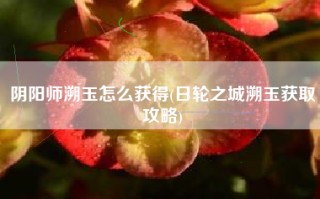 阴阳师溯玉怎么获得(日轮之城溯玉获取攻略)